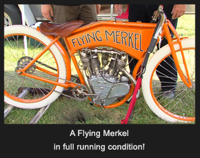 Flying Merkel